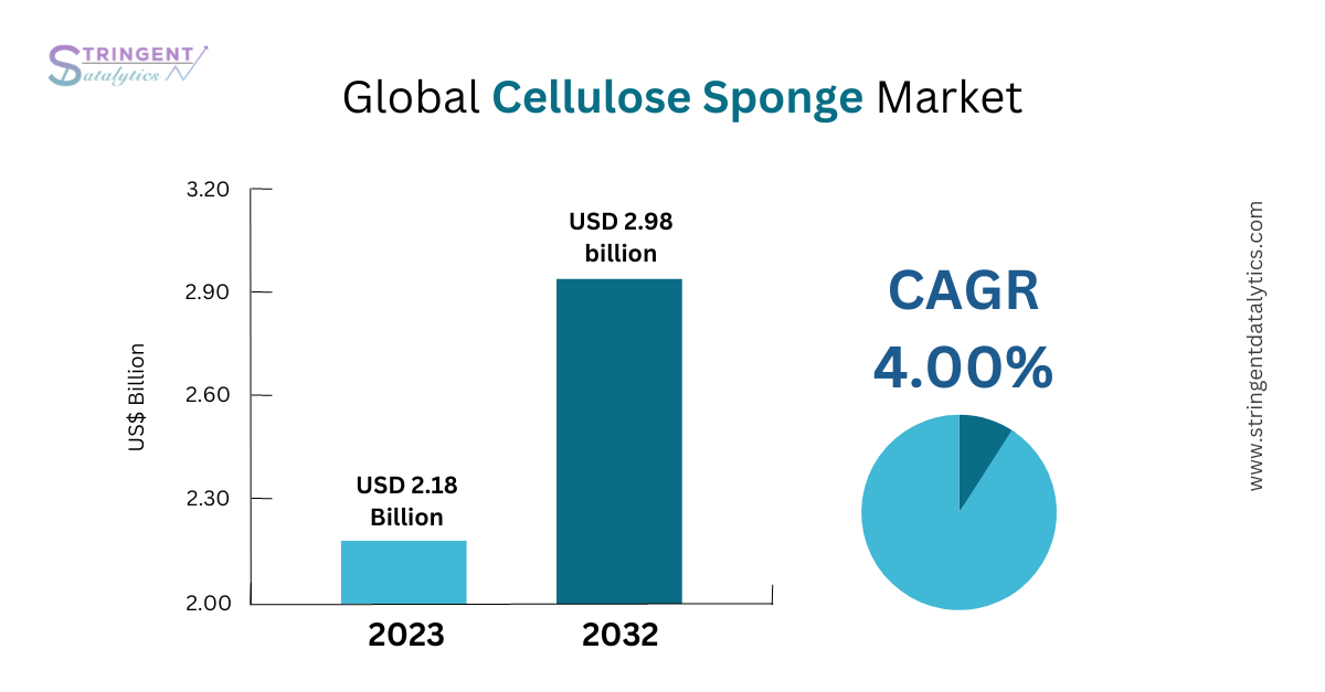 Cellulose Sponge Market Report: Examining Market Dynamics, Key Players, and Future Prospects