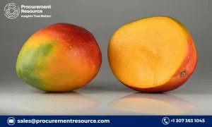 Mango Production Cost Analysis Report, Manufacturing Process, Provided by Procurement Resource