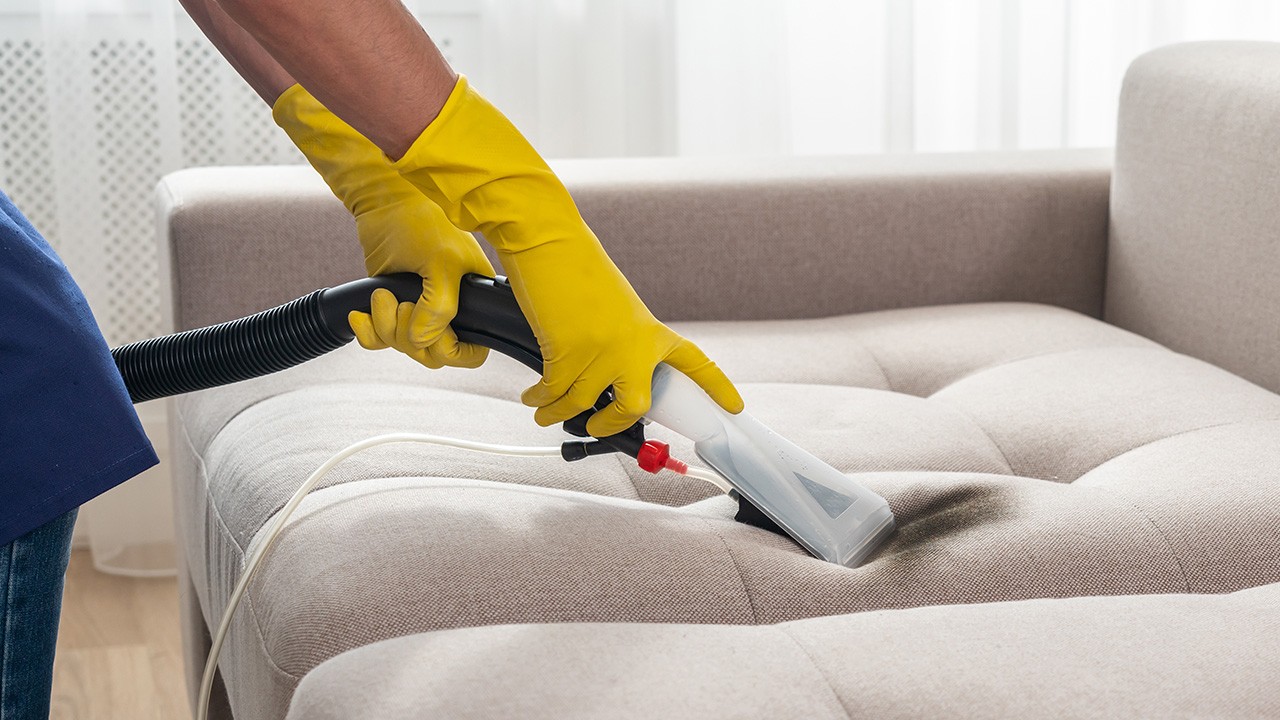 The Advantages of Professional Couch Cleaning in Doonside