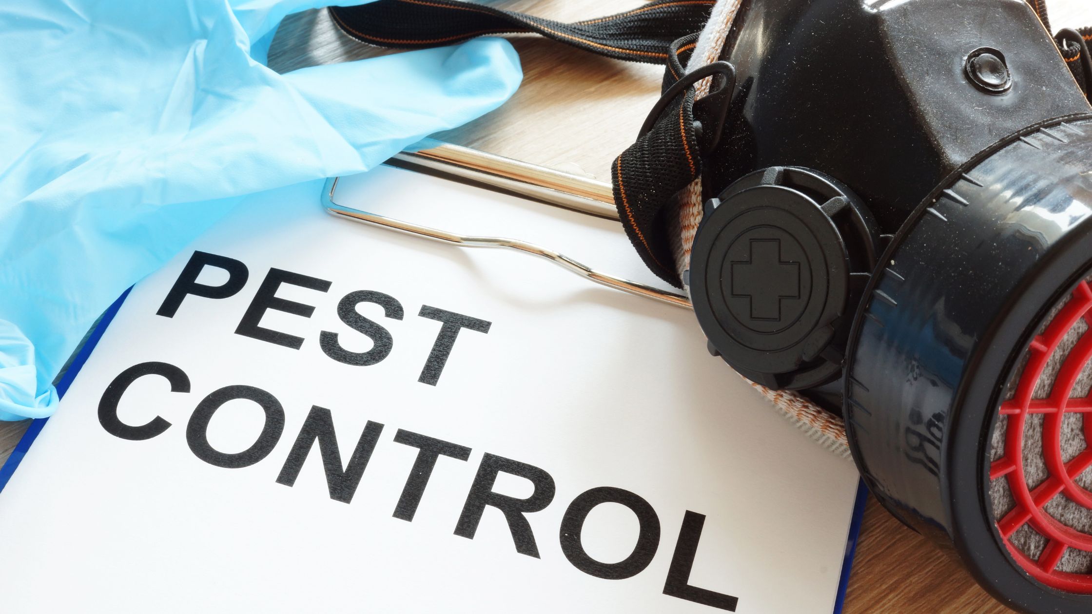 Unleashing the Power of Pest Control in Paddington: Keeping Pests at Bay!