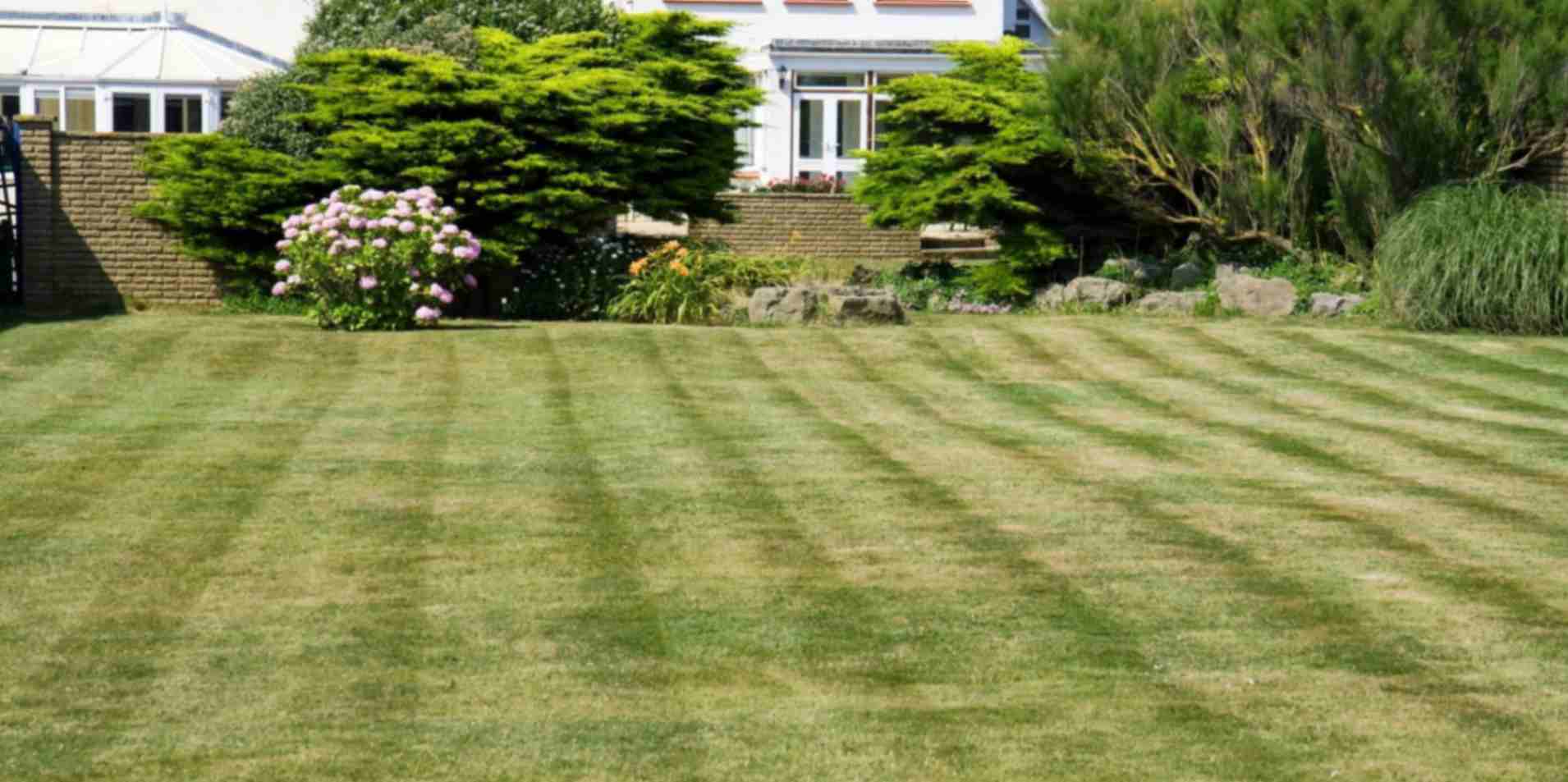 What is the best lawn care strategy for homeowners in Omaha?