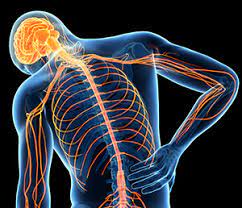Middle Back Pain -Types, Symptoms, Causes & Treatment