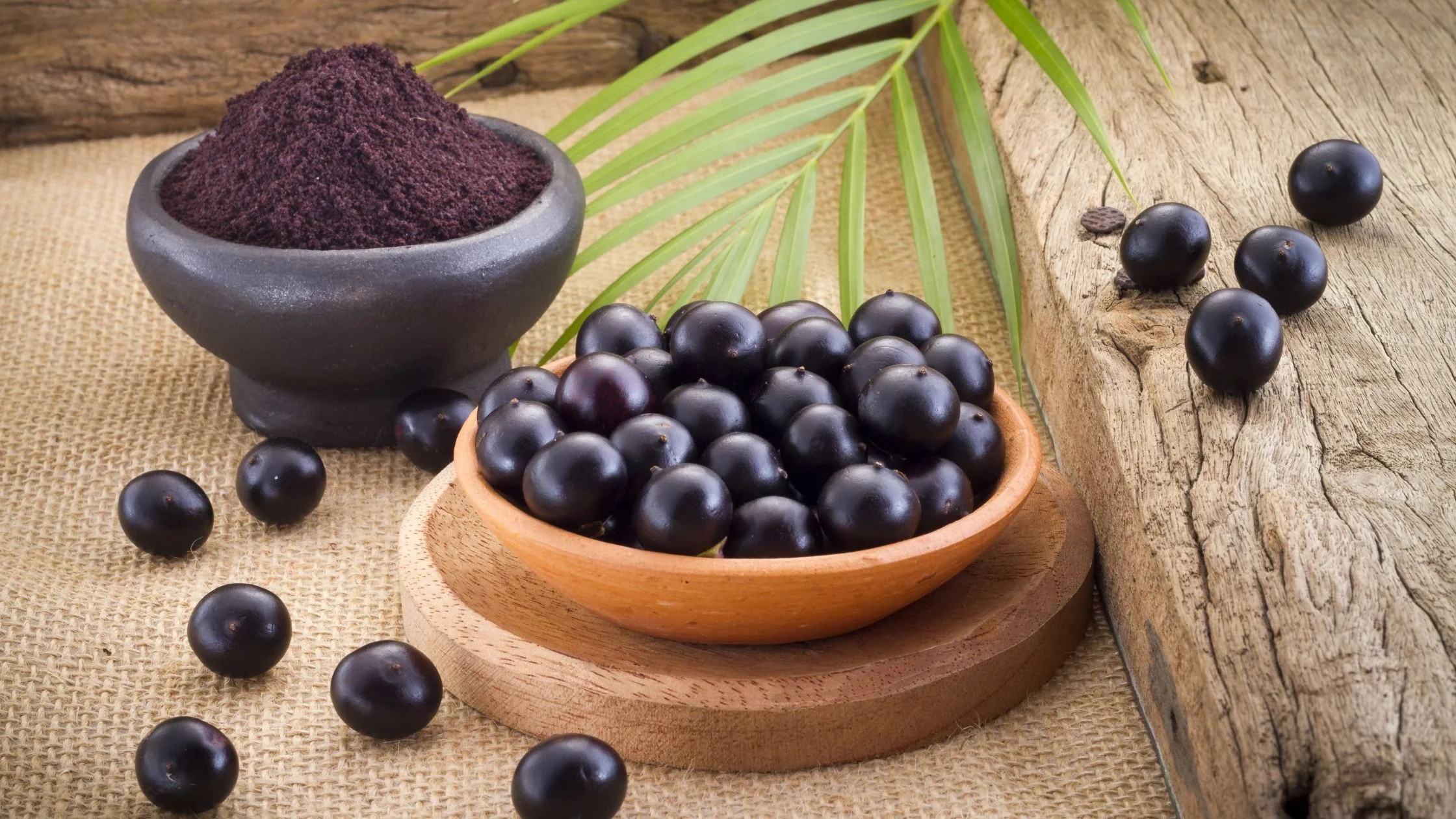 The global Acai Berry Market Growth Accelerated by Increasing Health Consciousness