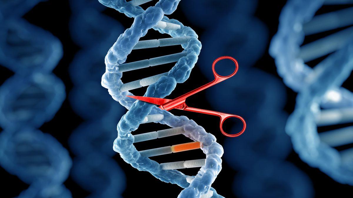 CRISPR and CAS Gene Market is Estimated to Witness High Growth Owing to Rising Applications in Genome Editing