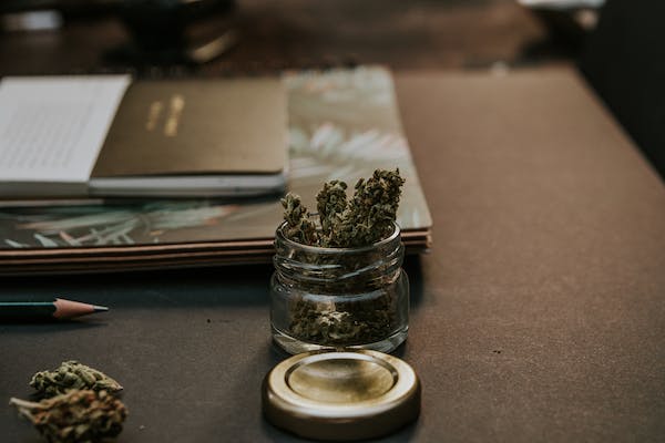 Bloom Bliss: Elevating Your Lifestyle with Premium Cannabis