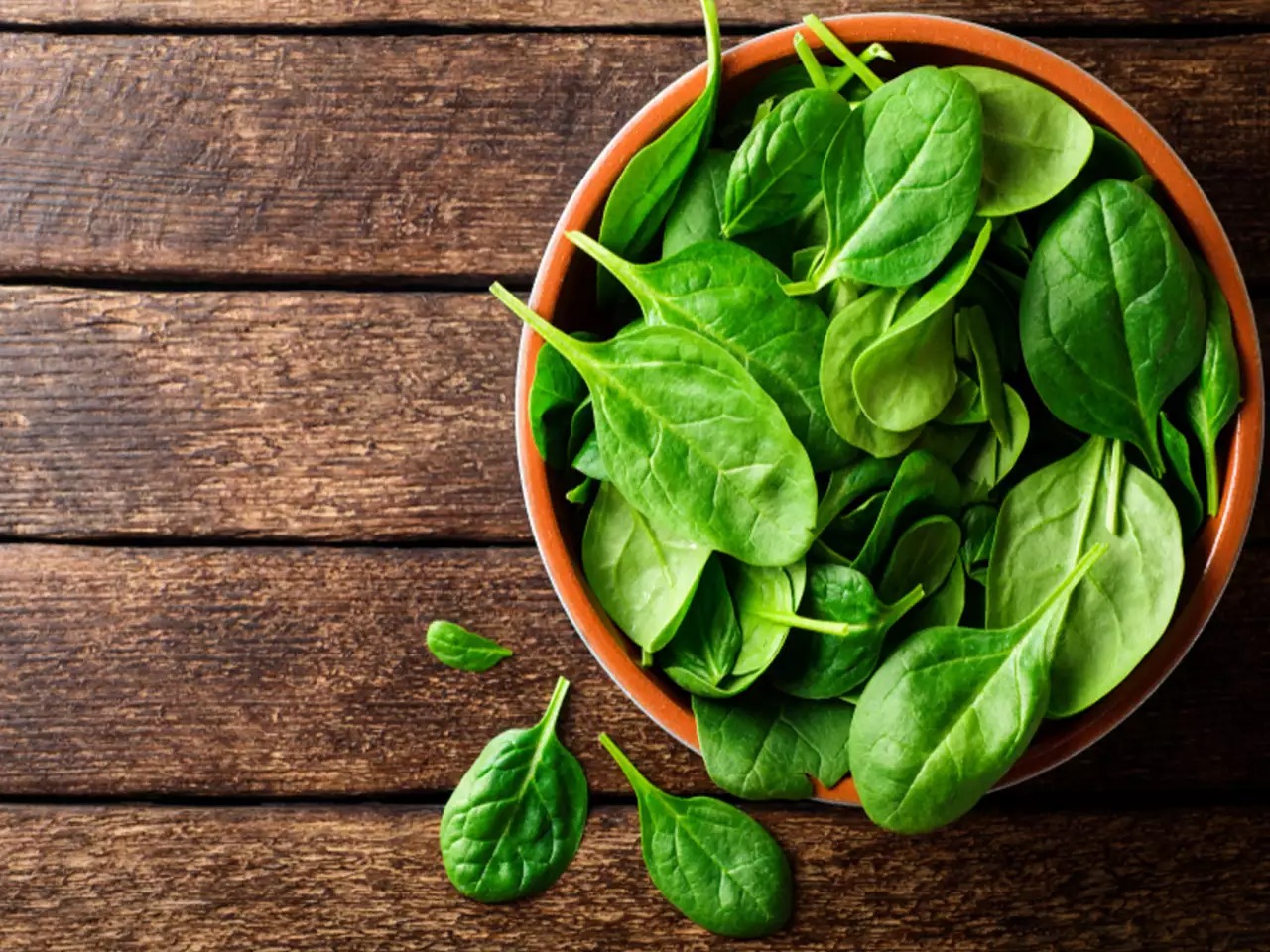 Spinach Processing Plant Project Report 2024, Business Plan, Cost and Revenue