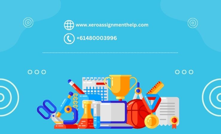The Roadmap to Success: Writing an Outstanding Xero Assignment Help
