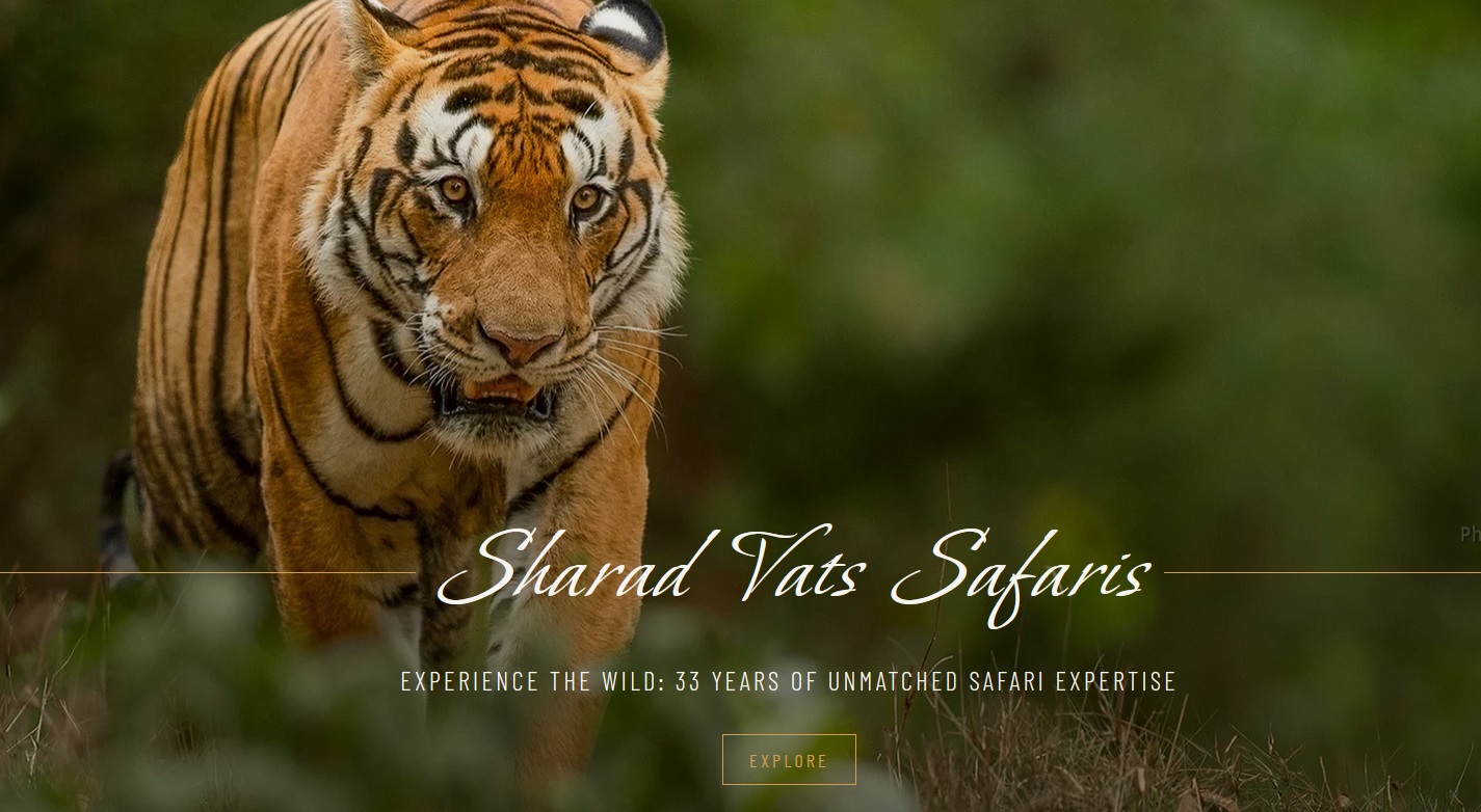 Safari Splendors: Explore India’s Wildlife