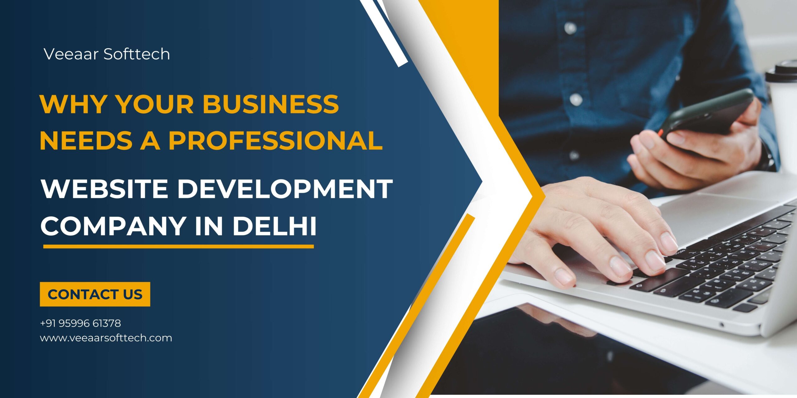 Why Your Business Needs a Professional Website Development Company in Delhi