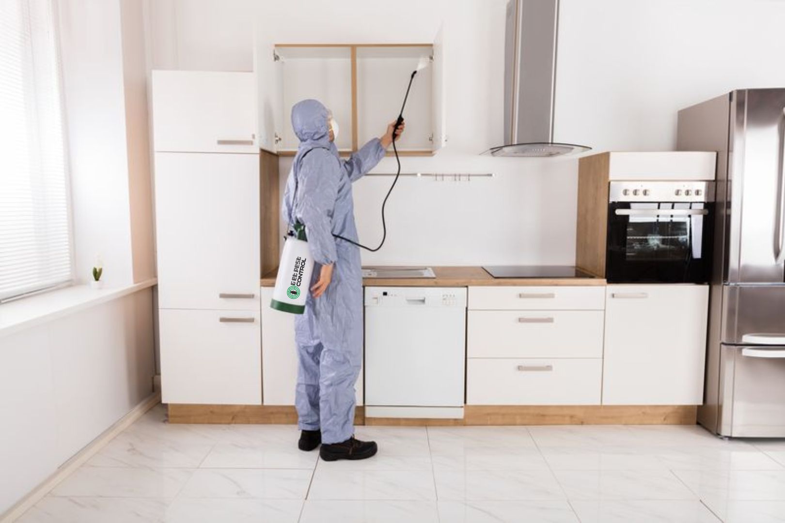 What Are the Benefits of Taking Professional Pest Control Services?