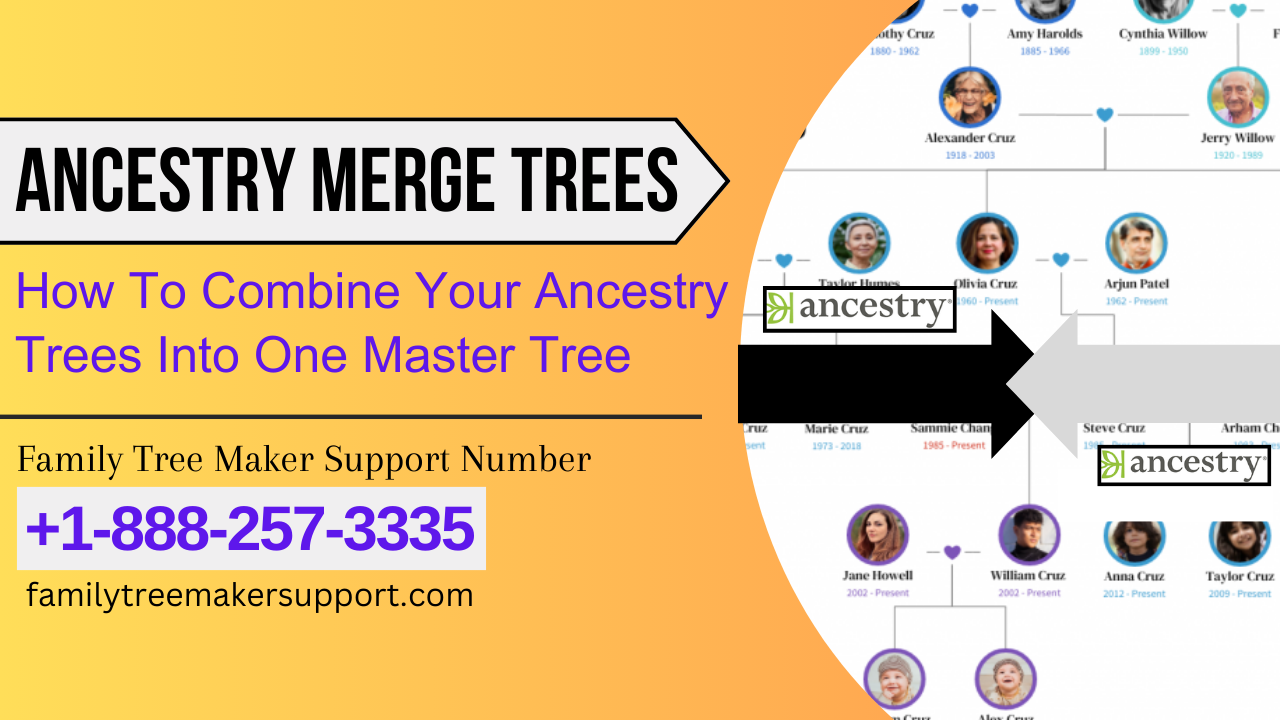 How To Combine Your Ancestry Trees Into One Master Tree