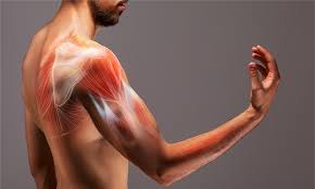 What is muscle pain, and how do I remove it?