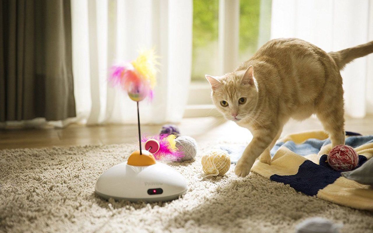 The Enchanting World of Interactive Play with Cats: Fostering Bonds and Joy