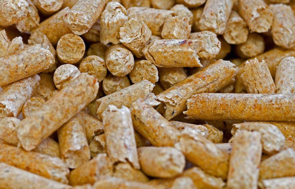 Biomass Pellets Market to Surge Past US$ 20,409.2 Million Mark by 2033, Fueled by Sustainable Energy Demand
