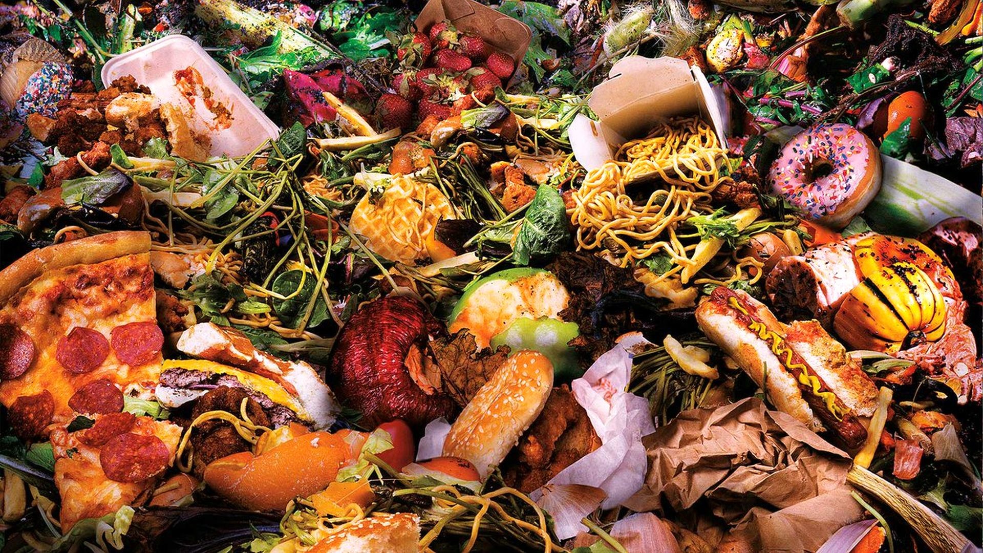 Food Waste Management Industry