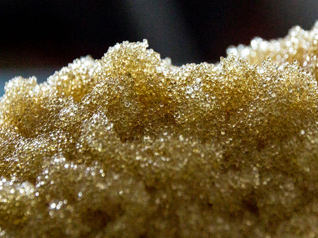 Global Ion Exchange Resins Market Set to Soar: Forecasts Reveal Potential Surge to US$ 2.37 Million by 2033, Driven by Rising Demand in Key Industries