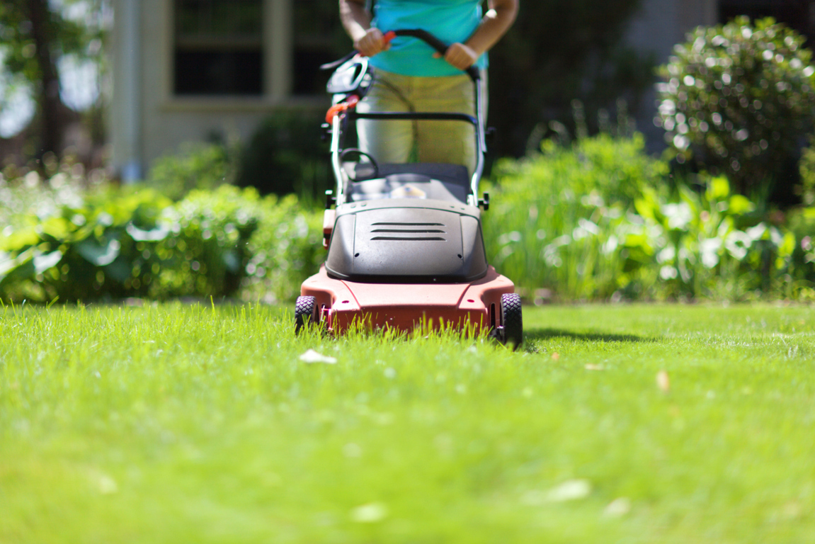 Global Powered Lawn Mowers Market: 4.5% CAGR and US$ 2,323.8 Million Estimated by 2033
